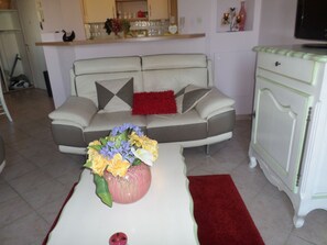 TV - QUIET TOWN CENTER with GARAGE (Uzès)