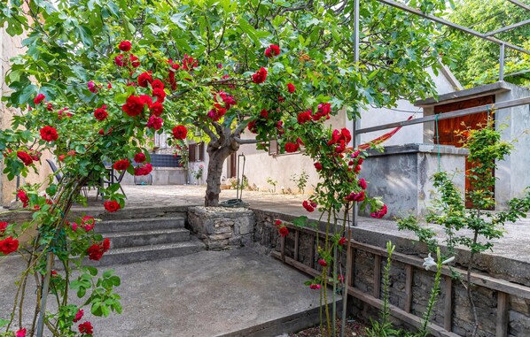 Stroll through a serene garden oasis, surrounded by a majestic tree and tranquil stone walls.