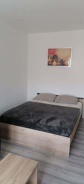 1 bedroom, WiFi, bed sheets - Ideally located apartment (Roanne)