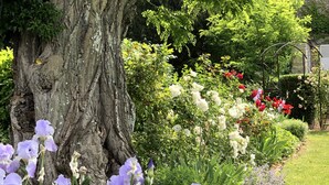 Un jardin avec un grand arbre et différentes plantes à fleurs.