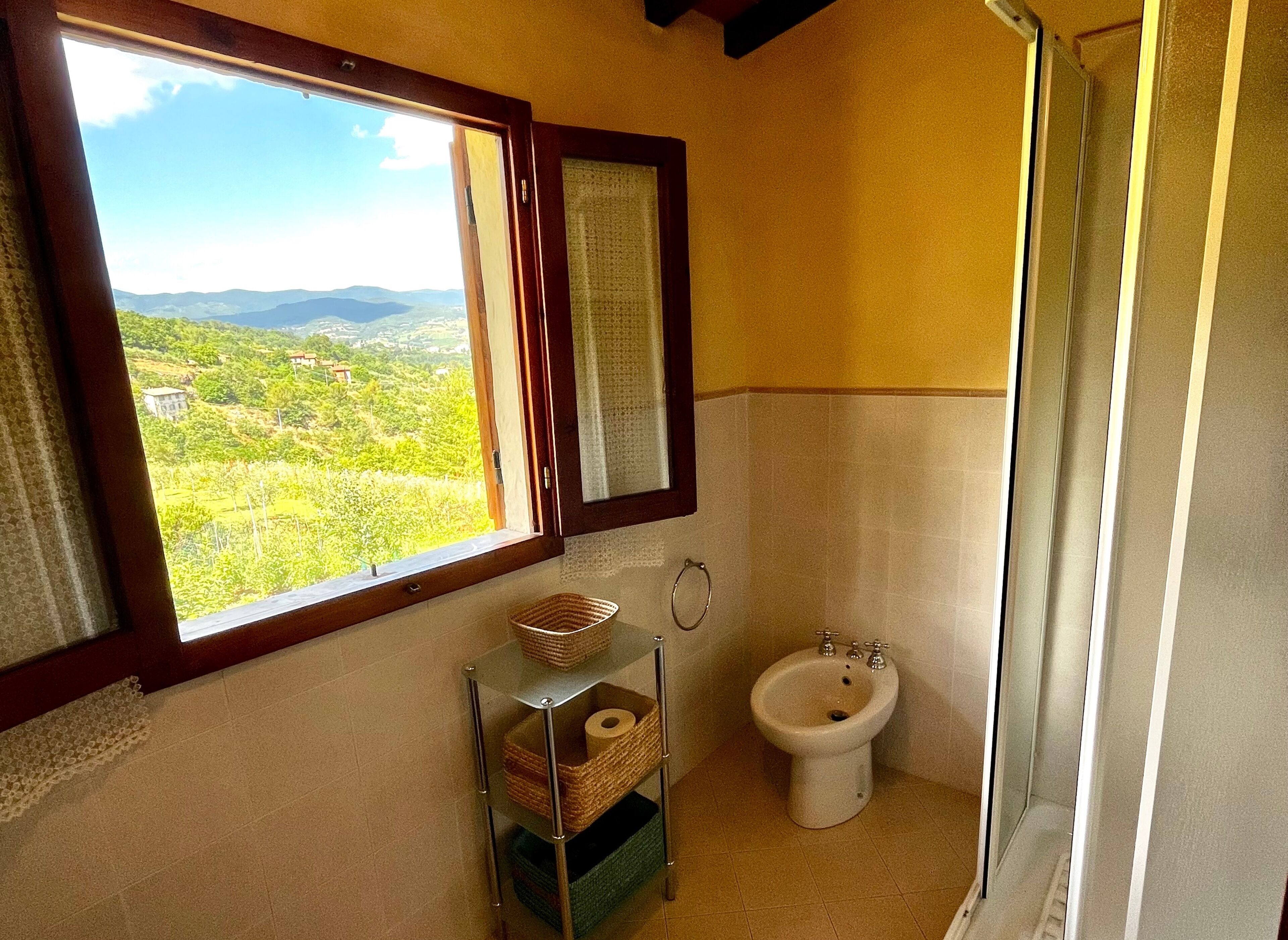 Shower, hair dryer, bidet, towels
