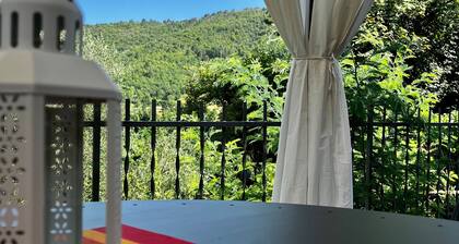 Typical Tuscan villa - nature immersion