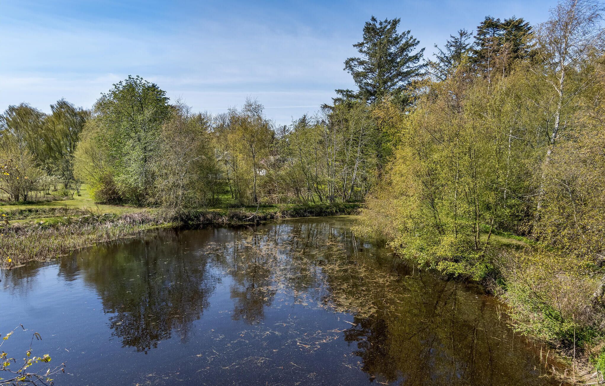 Une rivière paisible, bordée d’arbres denses et d’une végétation luxuriante.