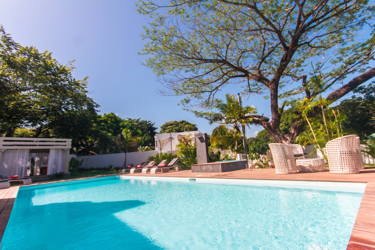 A swimming pool with lounge chairs and a tree.