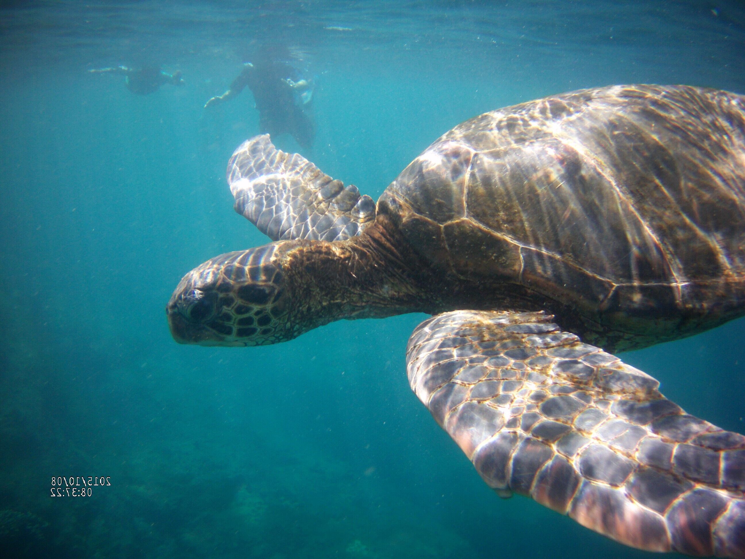 Beautiful Condo/Amazing Views of North Shore Kauai/DISCOUNT if both weeks rented