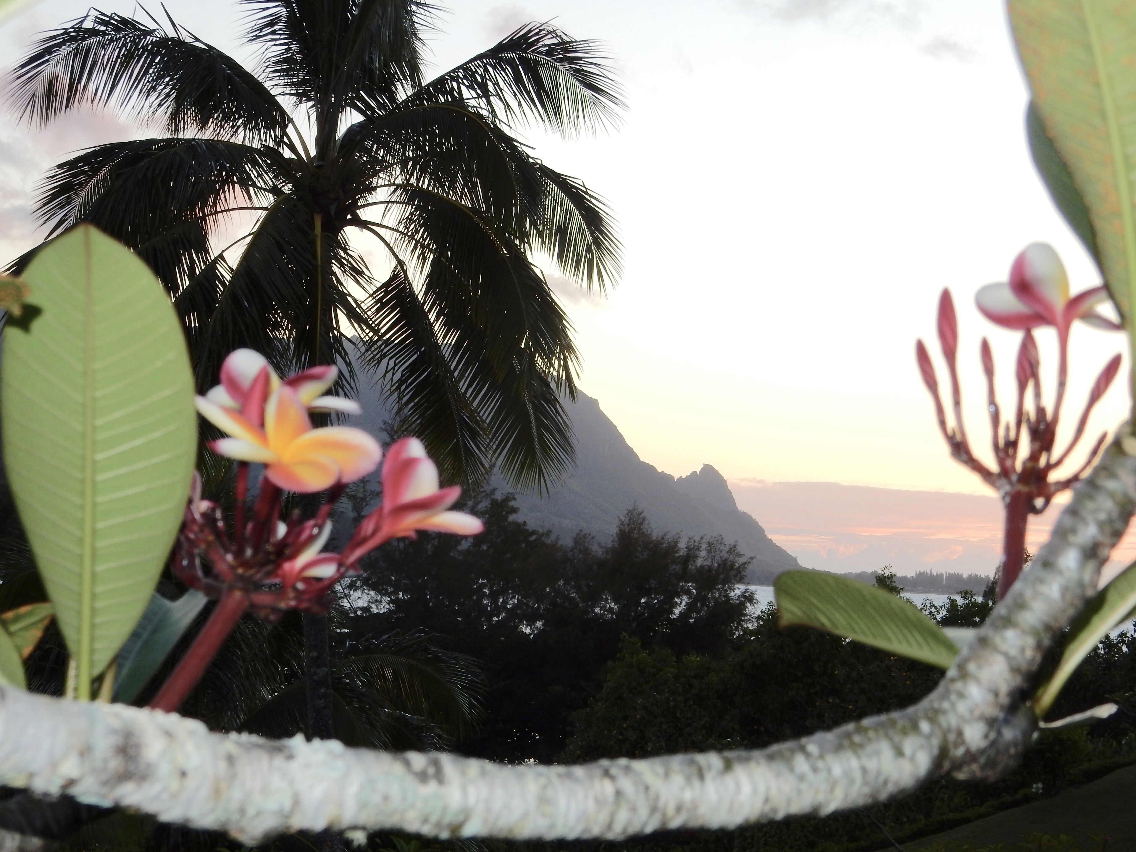 Beautiful Condo/Amazing Views of North Shore Kauai/DISCOUNT if both weeks rented