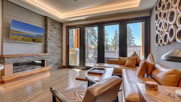 Télévision, cheminée, chaßne hi-fi