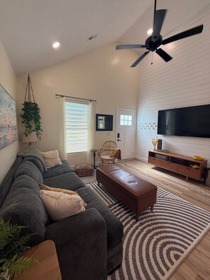 Smart TV, chimenea y libros