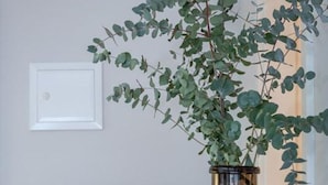 A room with a white door, a coffee maker, and a plant in a glass vase. - Modern apartment with balcony, in direct beach location - Andreas-Dirks-Straße 5 (Sylt)