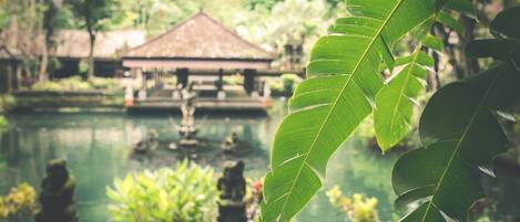 Overnattingsstedets uteområder