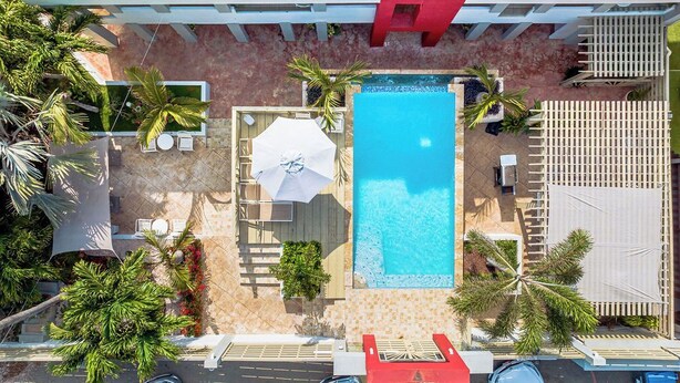 An aerial view of a rooftop pool area with a rectangular pool, lounge chairs, umbrellas, and palm trees. - Quiet, Cozy & Central ~ Close to the Beach ~ Pool! (Noord)