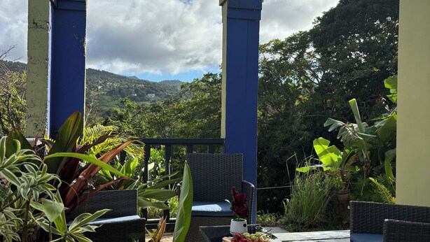 Un patio al aire libre con mobiliario de mimbre, una mesa con un plato de comida y plantas en macetas.
