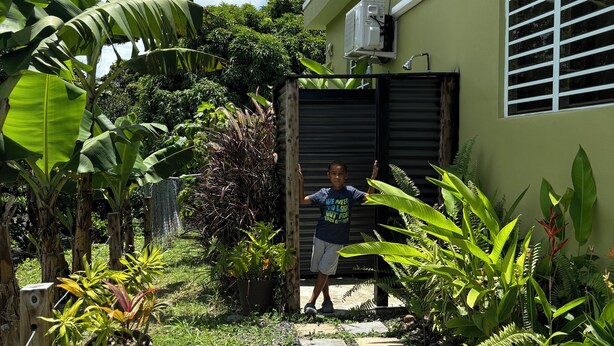 Un sendero lleva a una casa de color verde, rodeada de exuberante vegetación tropical y un cielo azul despejado.