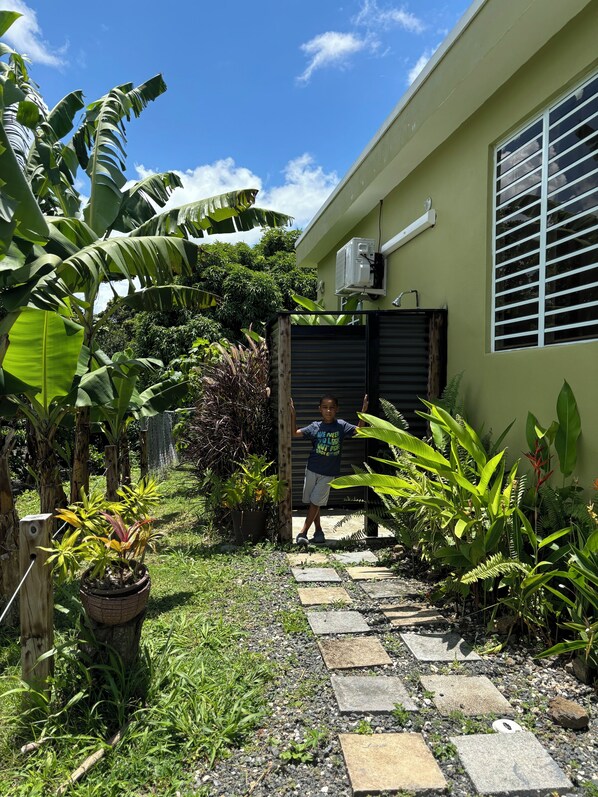Un sendero lleva a una casa de color verde, rodeada de exuberante vegetación tropical y un cielo azul despejado.