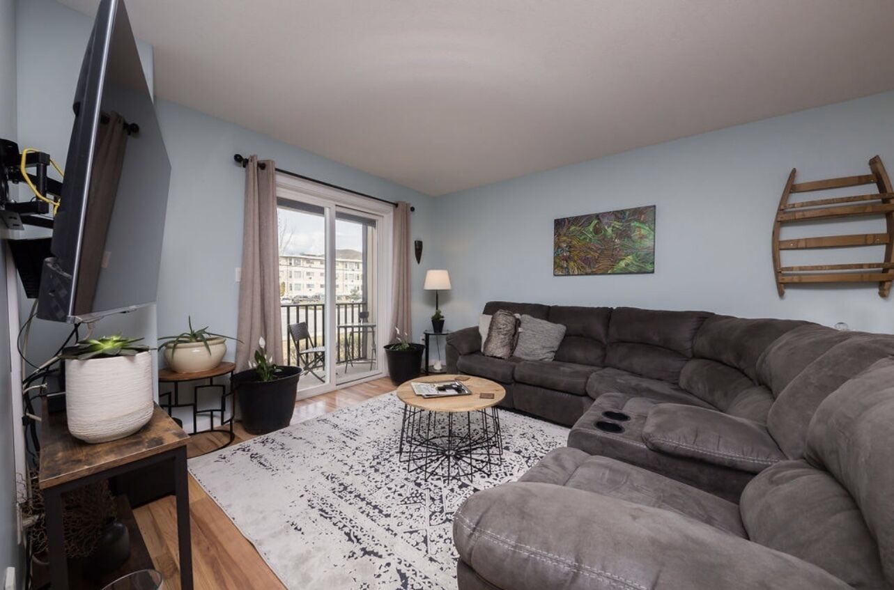 The Cunning Cactus (Pet friendly)