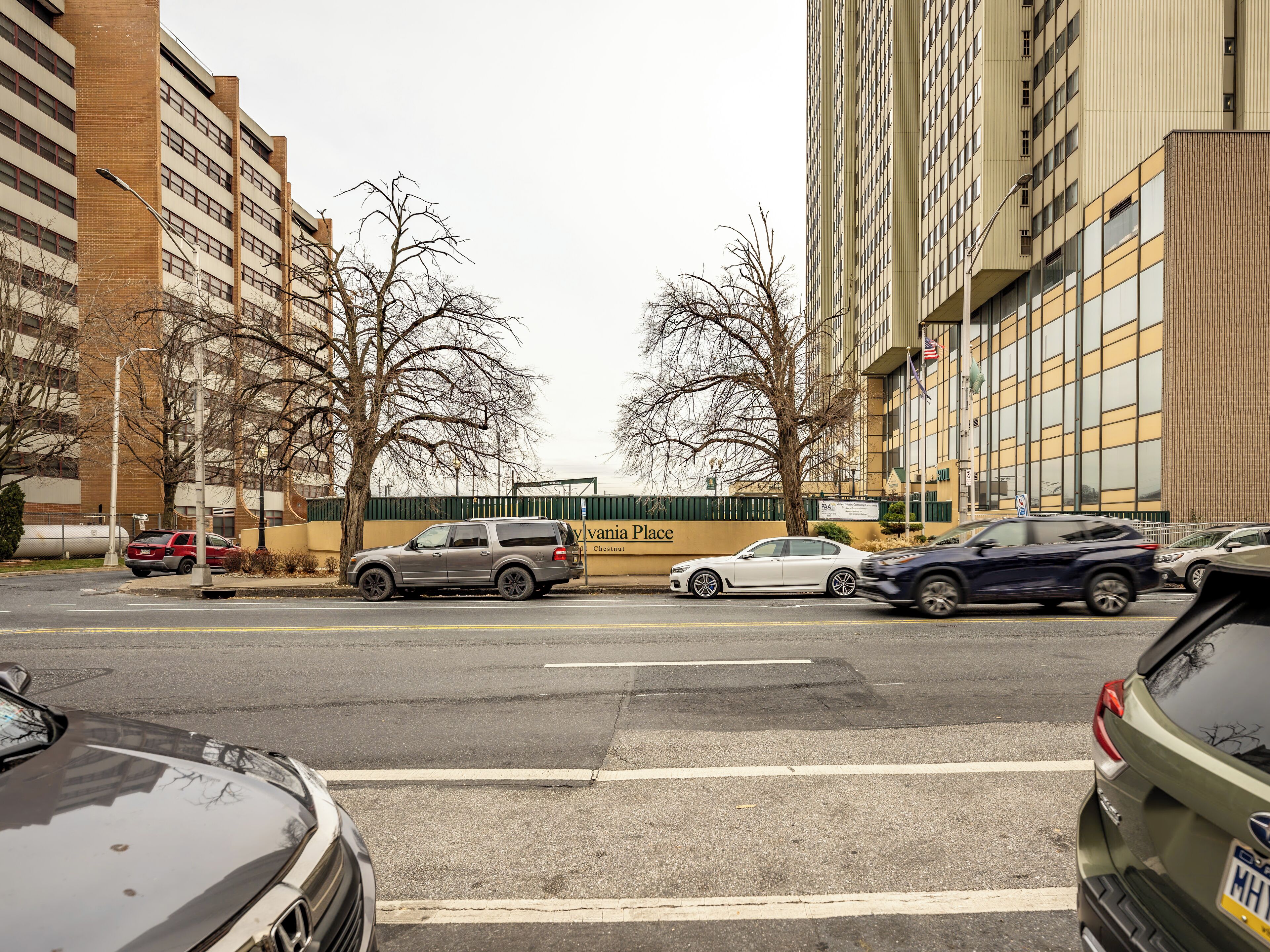 A street view with multiple parked cars, a building with a sign reading 'Chestnut Place,' and a tree-lined sidewalk.