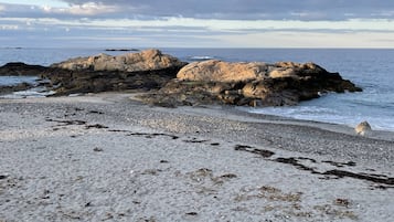 Plage à proximité, serviettes de plage