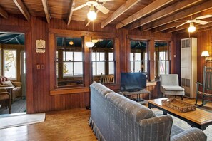 电视、DVD 播放器