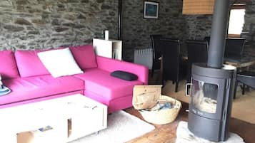 Smart-TV, Kamin