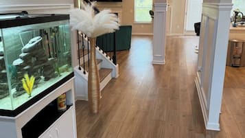 A spacious living area with a fish tank, staircase, and a television.