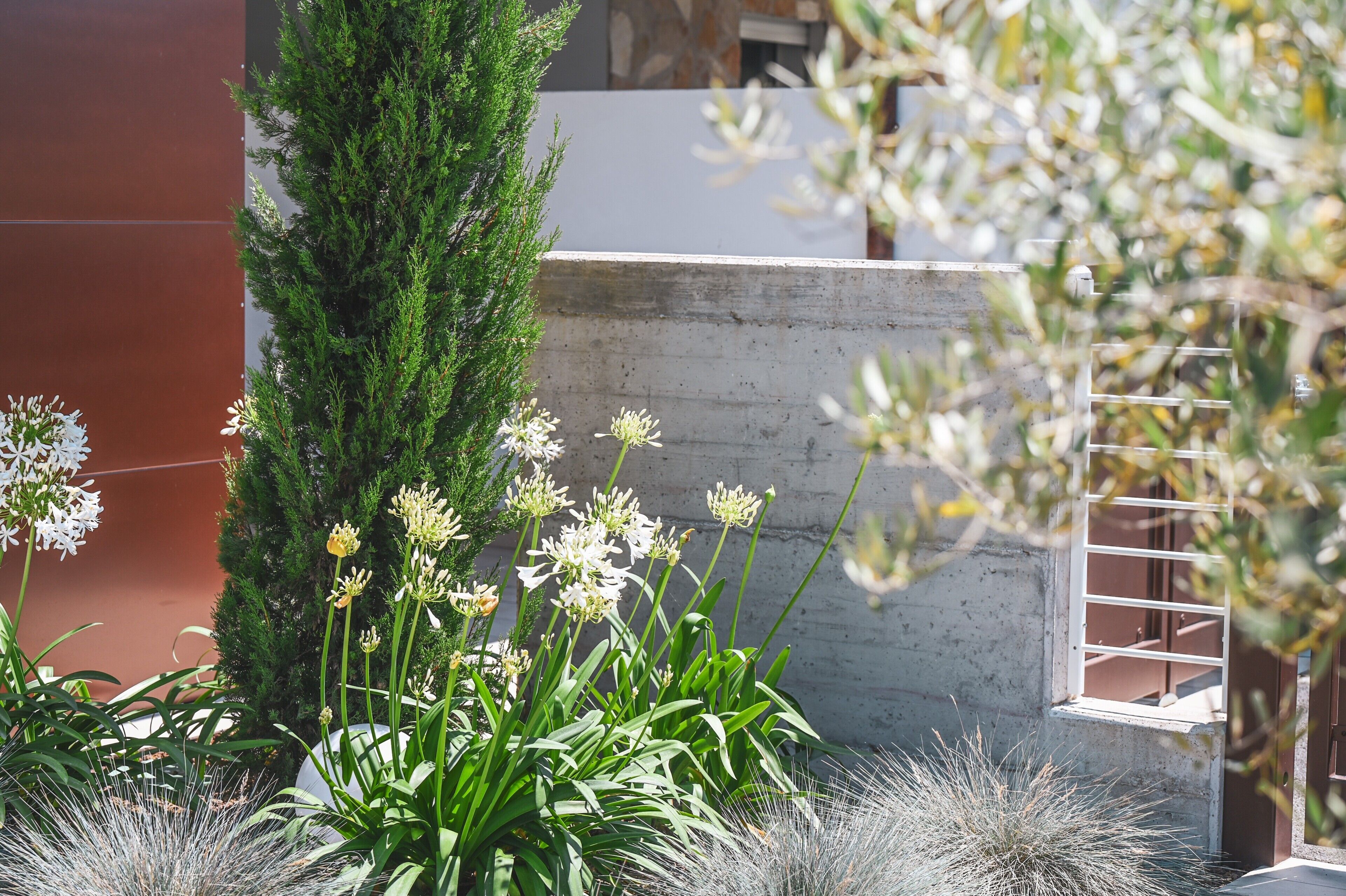 Overnatningsstedets område