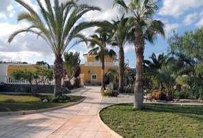 Property grounds - ALBATERA HOUSE RENTAL 12 PEOPLE (Albatera)