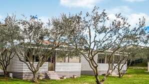 A row of white wooden cabins with a grassy yard and trees in front.
