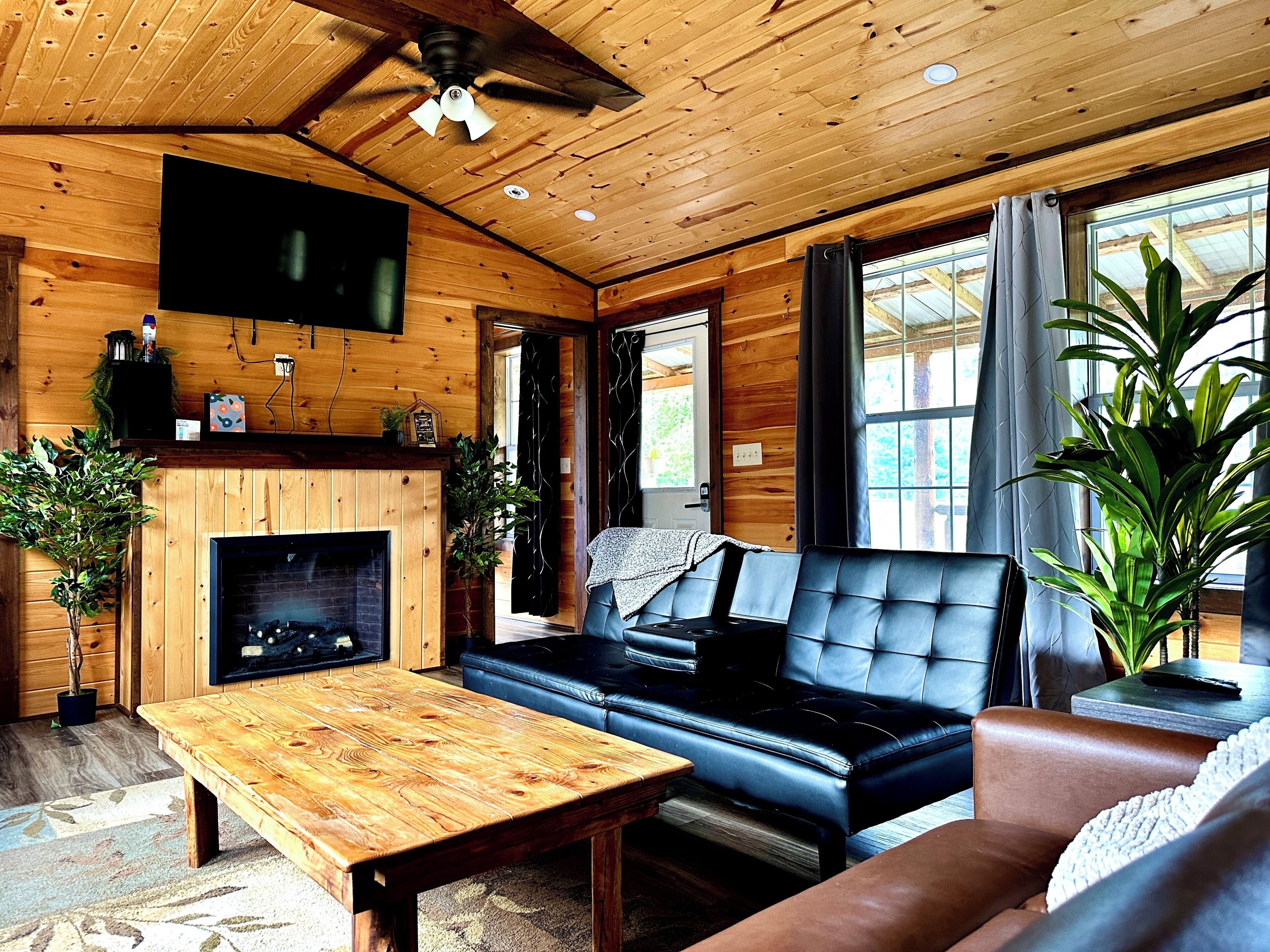 Smart TV, fireplace, books, stereo