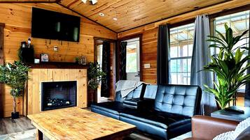 Smart TV, fireplace, books, stereo