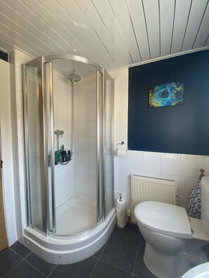 Hair dryer, towels, soap, shampoo