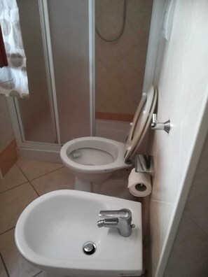 Chuveiro, secador de cabelo, bidê 