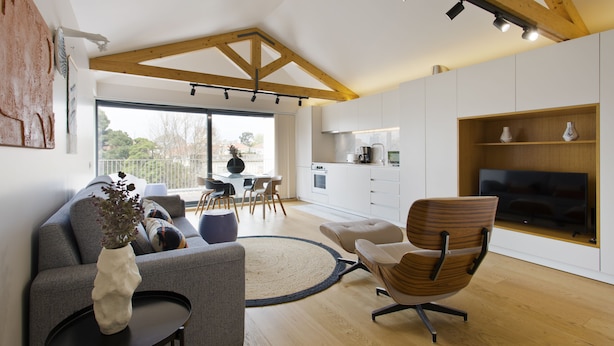 A modern living room with a grey sofa, a wooden chair, a coffee table, and a TV on a wooden shelf.