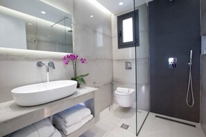 Hair dryer, bidet, towels, soap - Villa Aggelos, within easy walk of the beach, shops and restaurants. (Nydri)