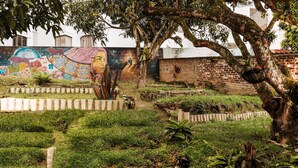 A garden with a mural, trees, and a brick wall. - De Requka (Pereira)