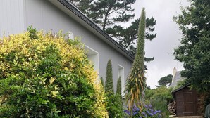 Un jardin bien entretenu, agrémenté de divers arbustes et de plantes à fleurs, d’un mur en pierre et d’une petite construction en bois.