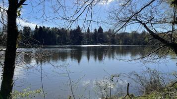 A calm lake surrounded by trees and a clear sky.
