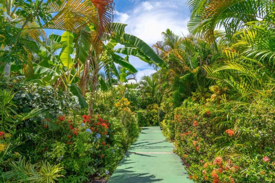 Área da propriedade