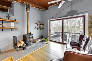 TV, fireplace, video games, books