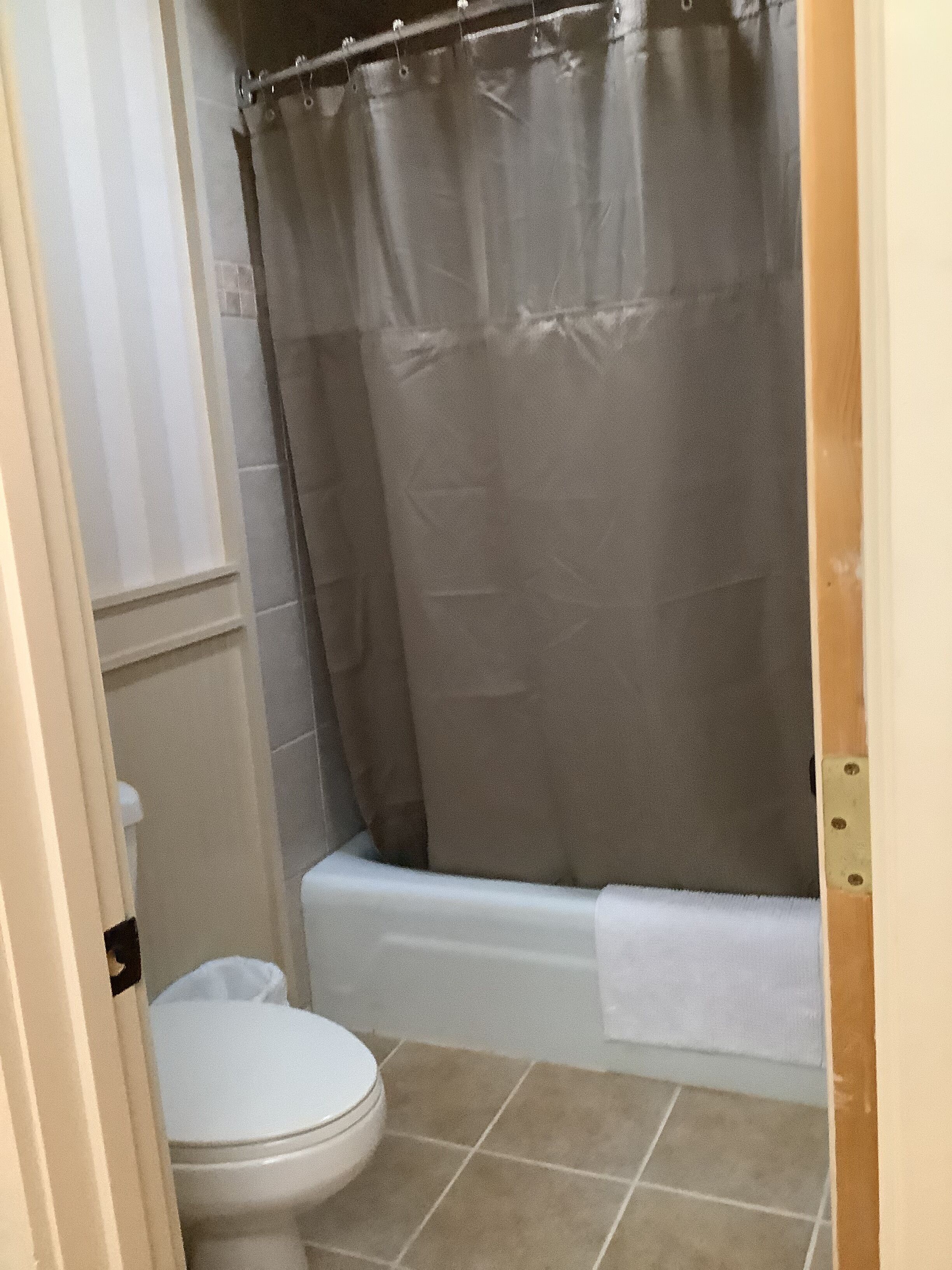 A bathroom with a toilet, bathtub, and shower curtain.