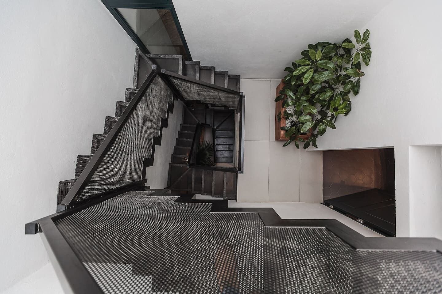 Una escalera moderna con barandilla de vidrio y una planta en maceta en la pared.