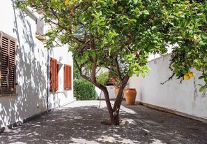 Stroll through this peaceful courtyard surrounded by a mature tree and a charming white wall with wooden shutters.