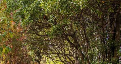 Villa l'Enclos âïžâïžâïž