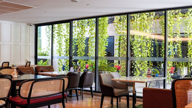 Un restaurant doté d’une salle à manger, de grandes fenêtres et de plantes suspendues.