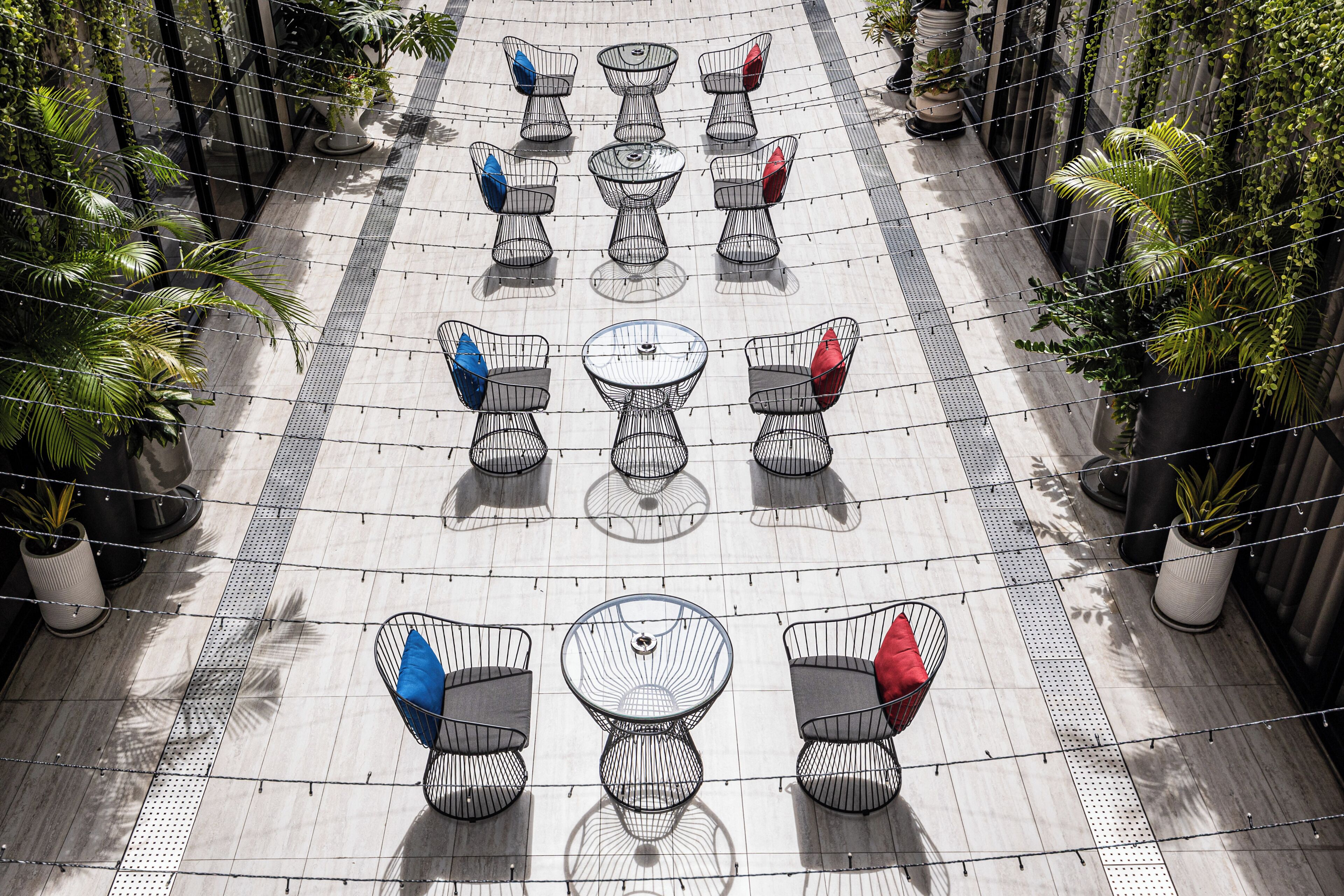 Een dakterras met meerdere tafels en stoelen, omringd door potplanten.
