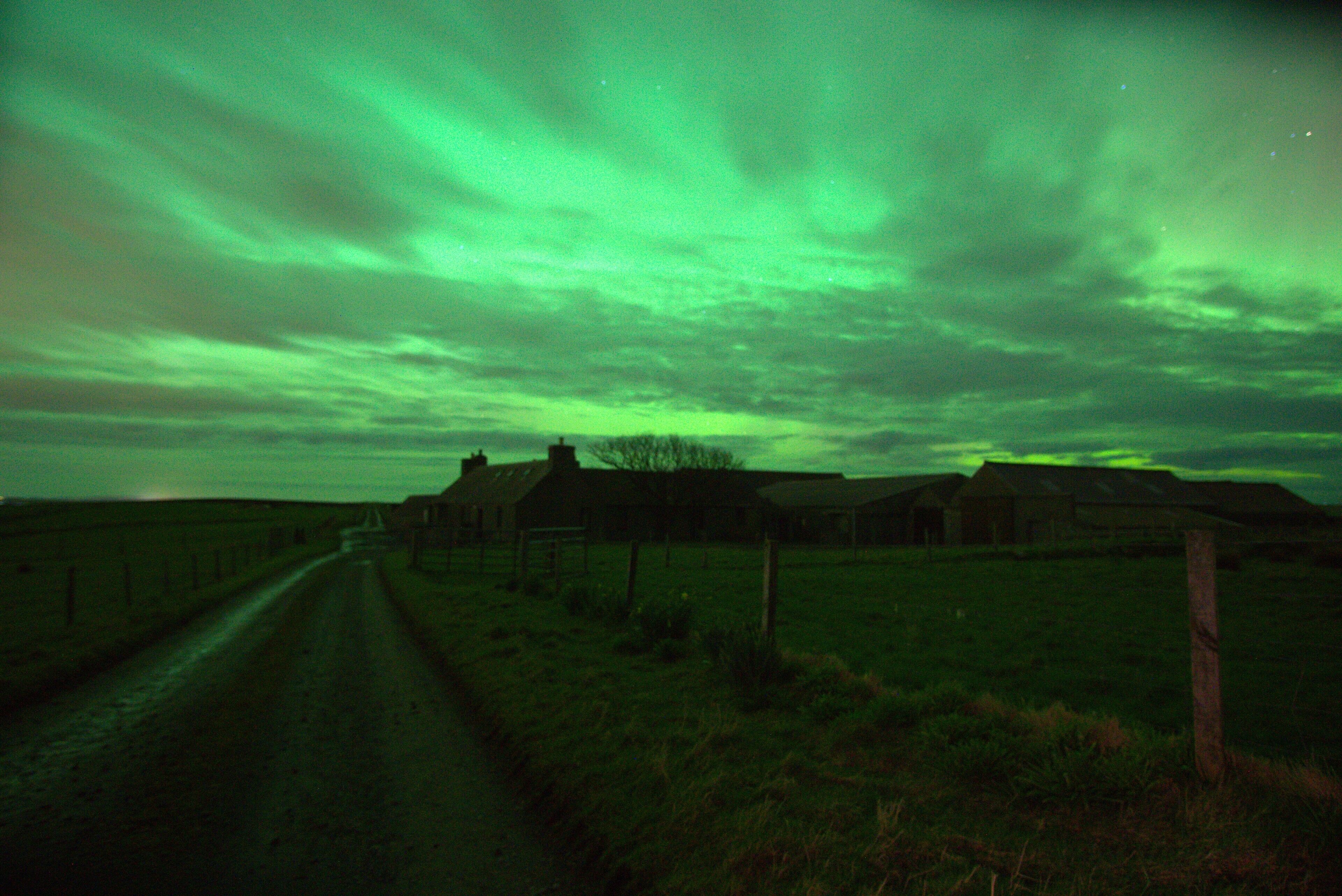 Farmhouse by the sea, excellent for Aurora and wildlife.