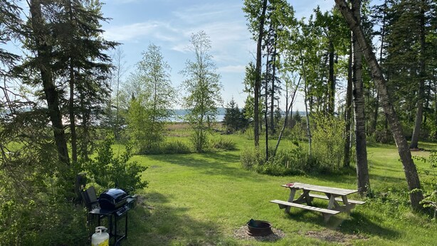 A camping area with a picnic table and a grill.