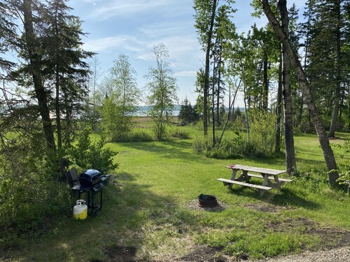 Hawk - Camper at Sunset Bay