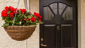 A black door with the number 5, a wicker basket with red flowers, and a textured wall. - Abbey Villa (No 5) (St Andrews)