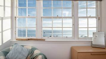 Flat-screen TV, fireplace, books