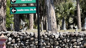 A directional signpost with arrows pointing to various attractions such as Art Gallery, Kayak, Paddle Boards, and Dive.